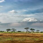Elephants at Amboseli