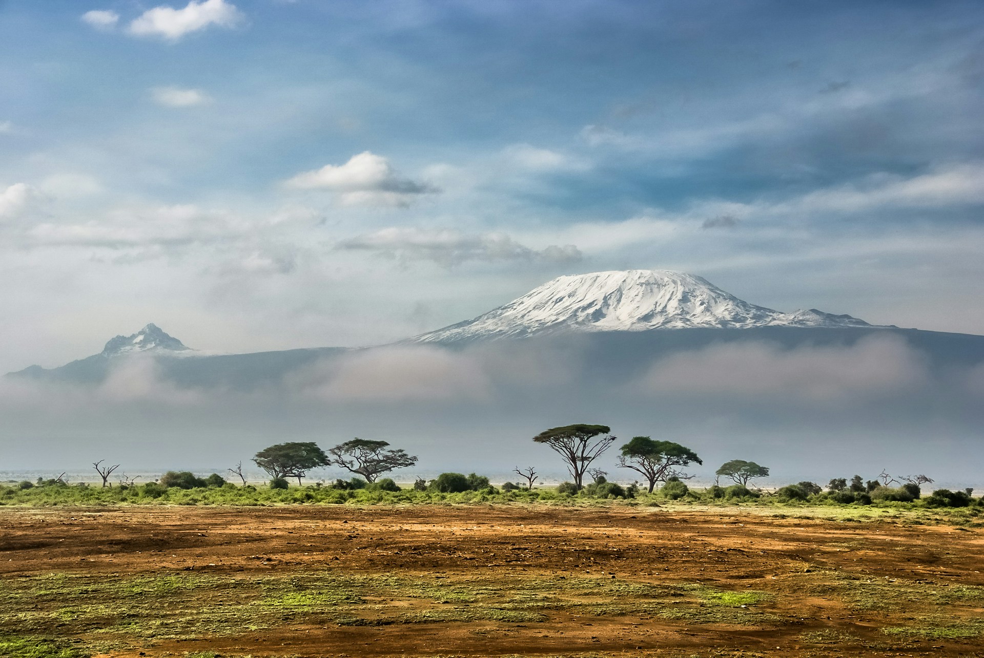 Elephants at Amboseli