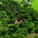 Amboseli Hotels and Lodges