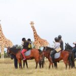 Best time to visit Kenya