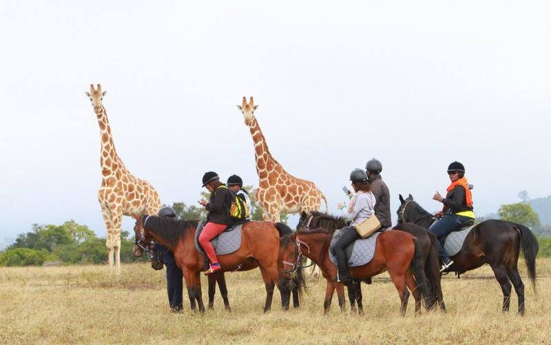 Best time to visit Kenya
