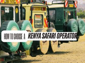 How to Choose a Kenya Safari Operator
