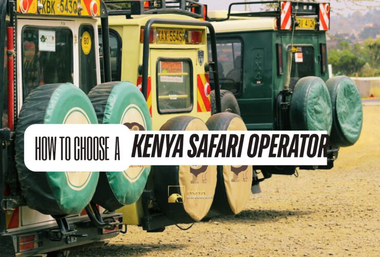How to Choose a Kenya Safari Operator
