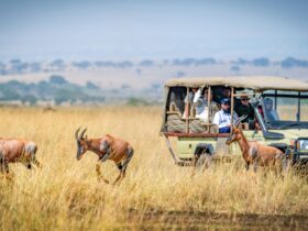 Kenya Climate and Weather