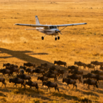 Kenya Fly-In Safari