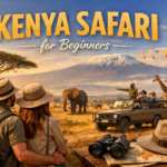 Kenya Safari for Beginners
