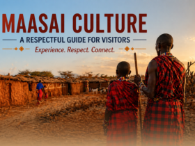 Maasai culture