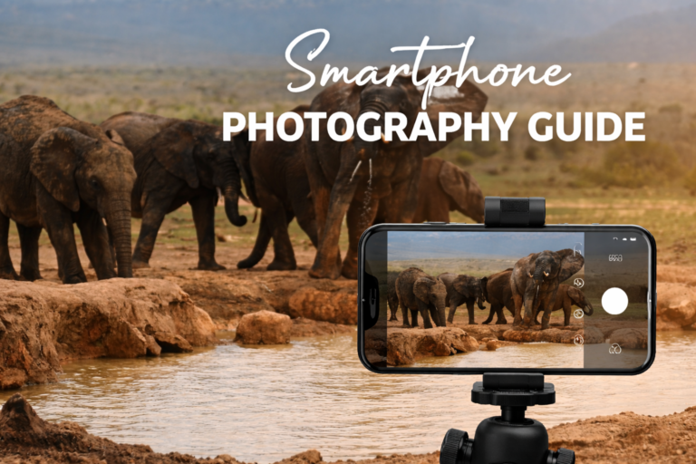 Smartphone Photography Guide