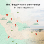 The 7 best private conservancies in the Maasai Mara