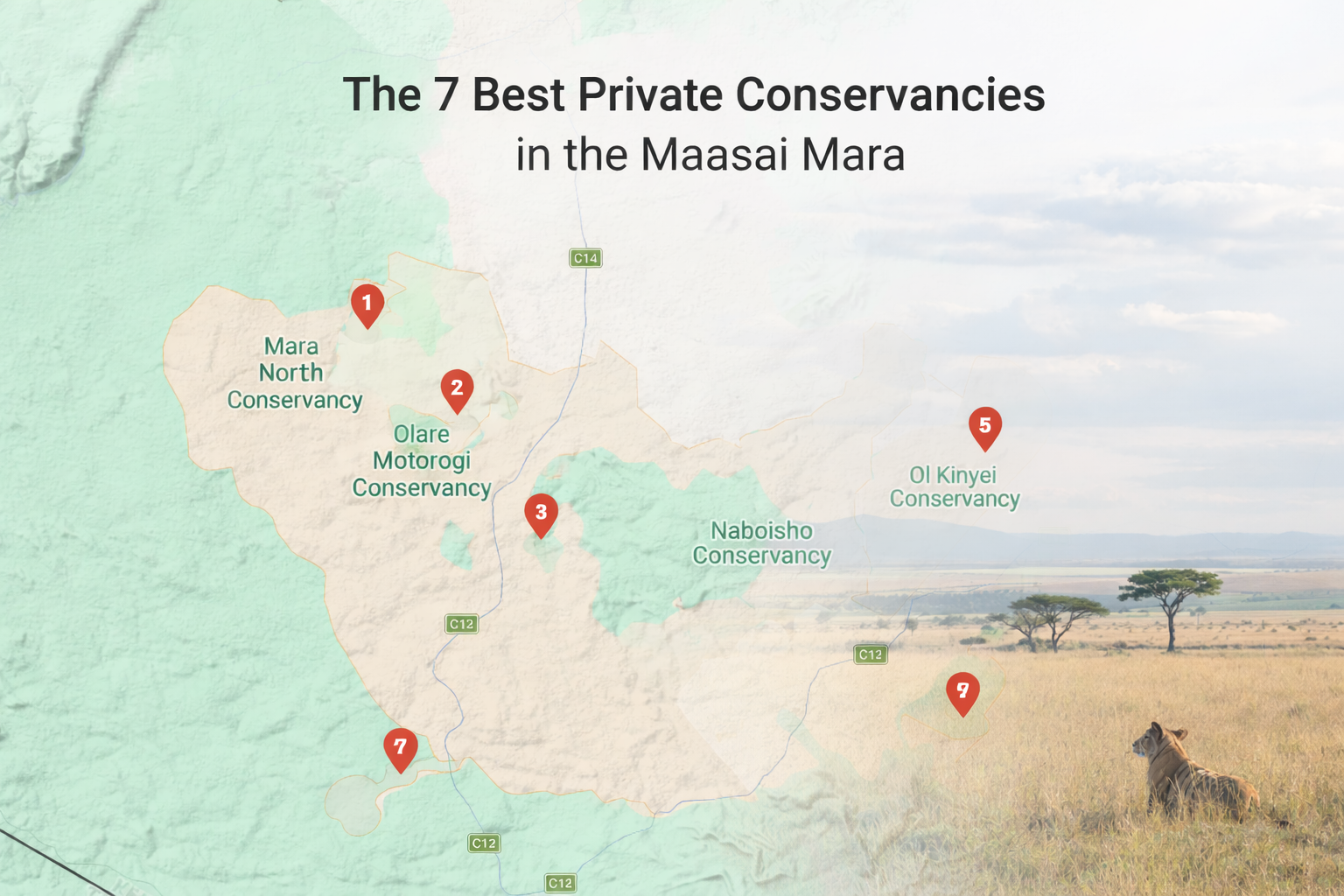 The 7 best private conservancies in the Maasai Mara