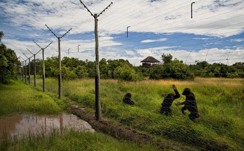 Ol Pejeta Conservancy