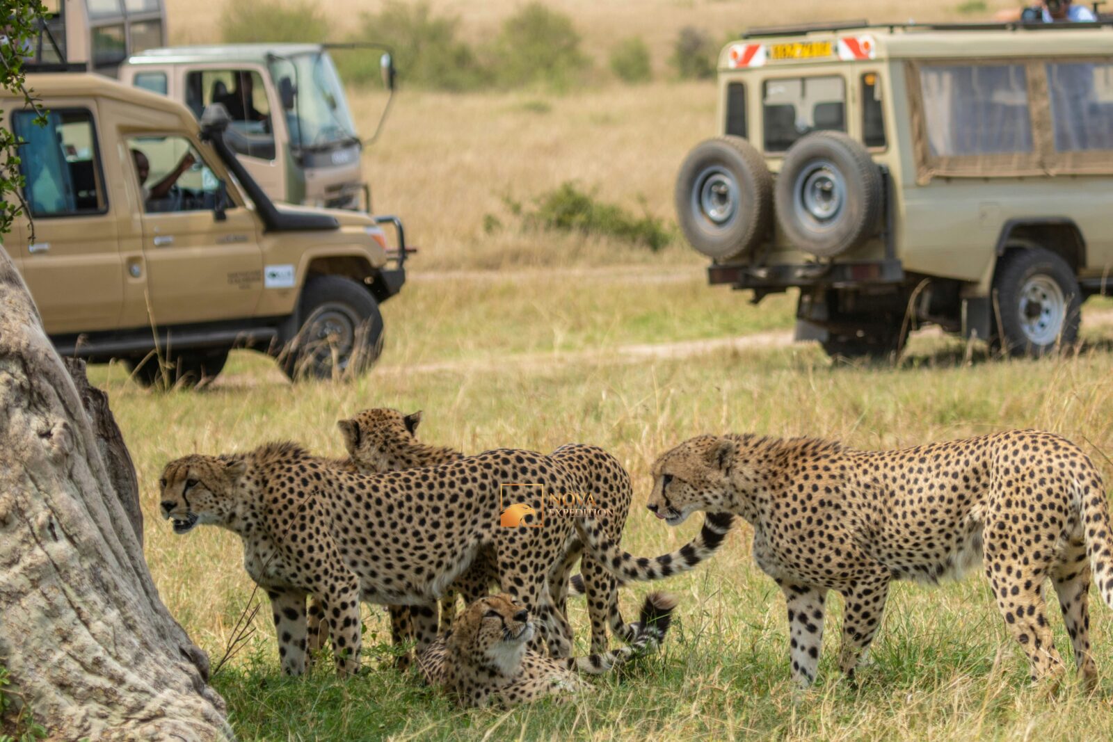 Best Time to Visit Kenya