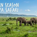 Green Season Kenya Safari