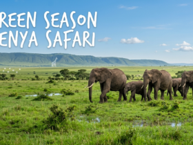 Green Season Kenya Safari