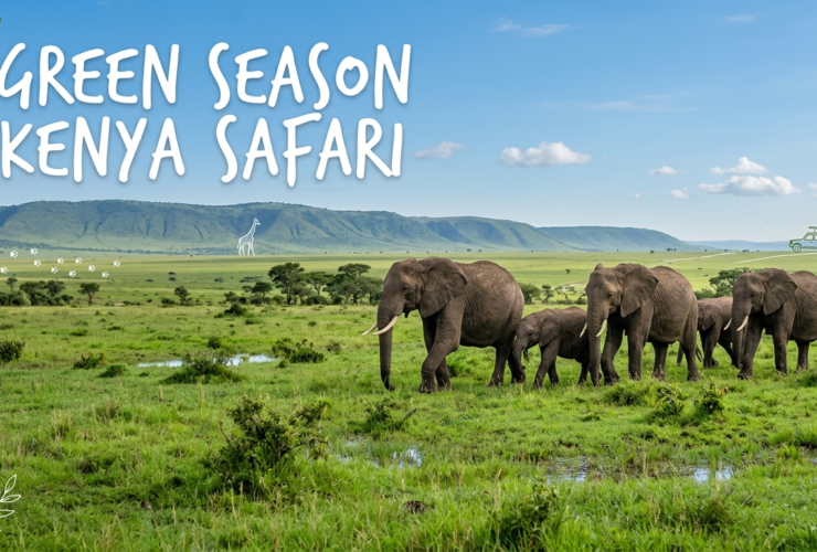 Green Season Kenya Safari