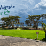 Lake Naivasha Day Trip from Nairobi