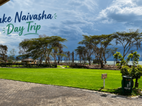 Lake Naivasha Day Trip from Nairobi
