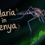 Malaria in Kenya