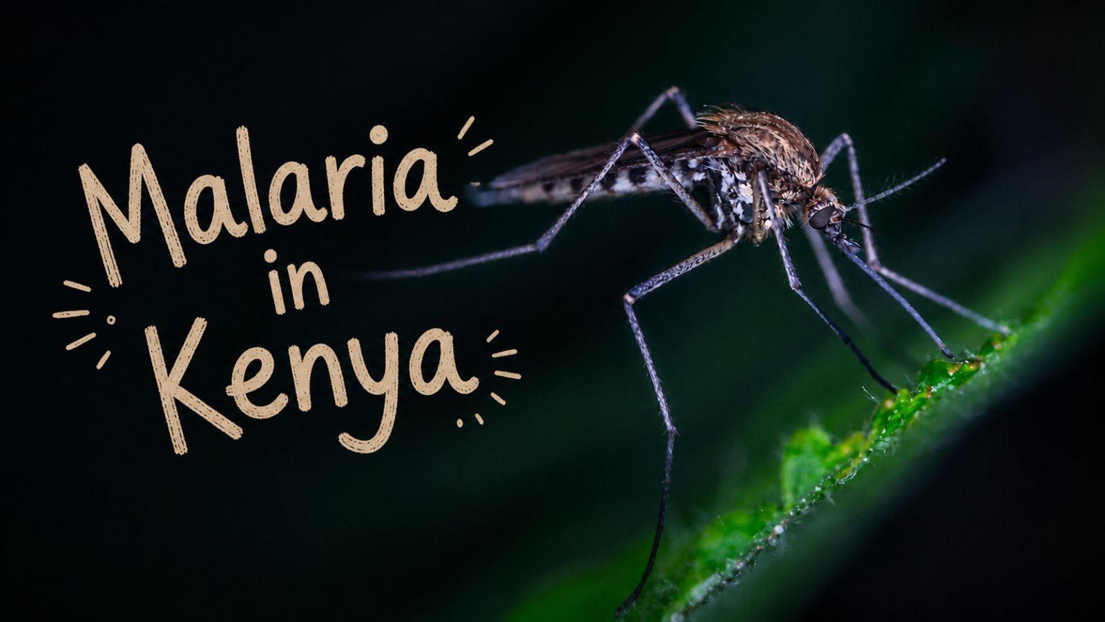 Malaria in Kenya