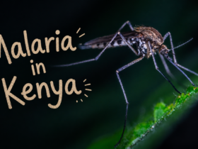 Malaria in Kenya