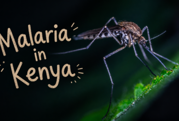 Malaria in Kenya