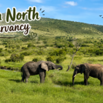 Mara North Conservancy