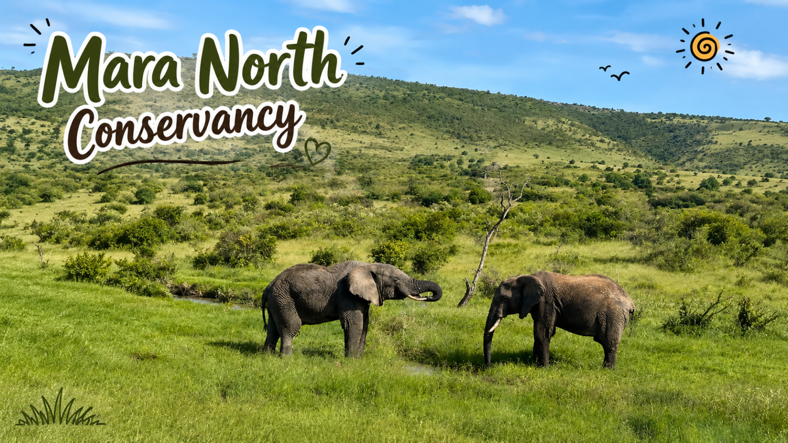 Mara North Conservancy