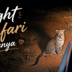 Night Safari Kenya