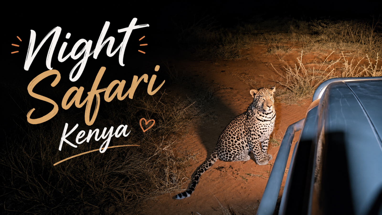 Night Safari Kenya