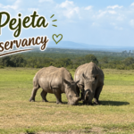 Ol Pejeta Conservancy