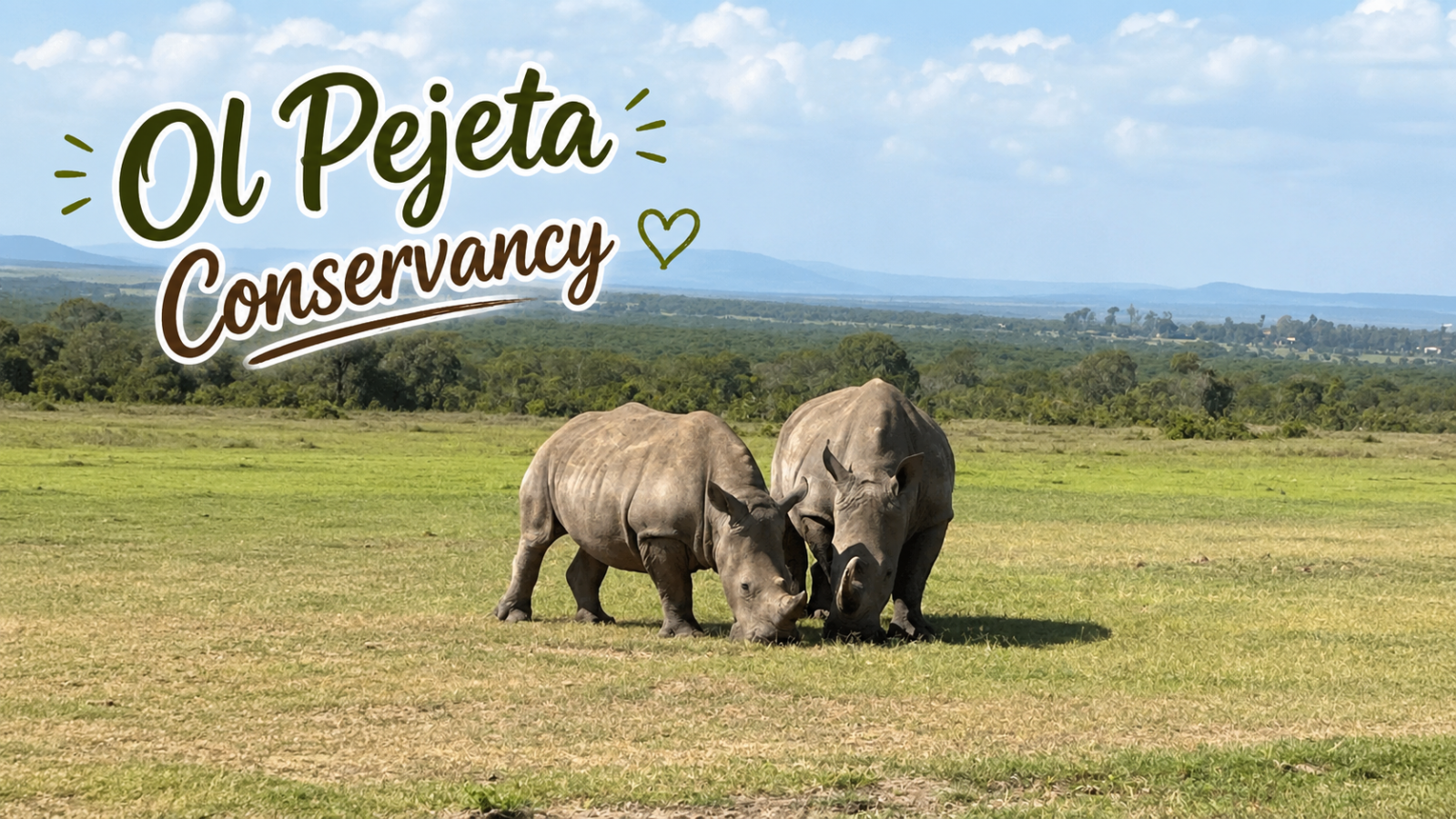 Ol Pejeta Conservancy