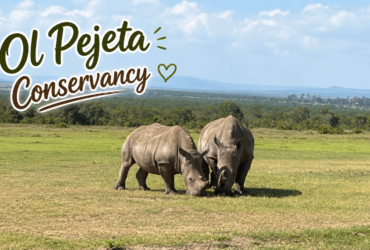 Ol Pejeta Conservancy