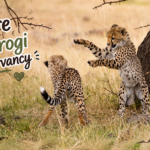 Olare Motorogi Conservancy