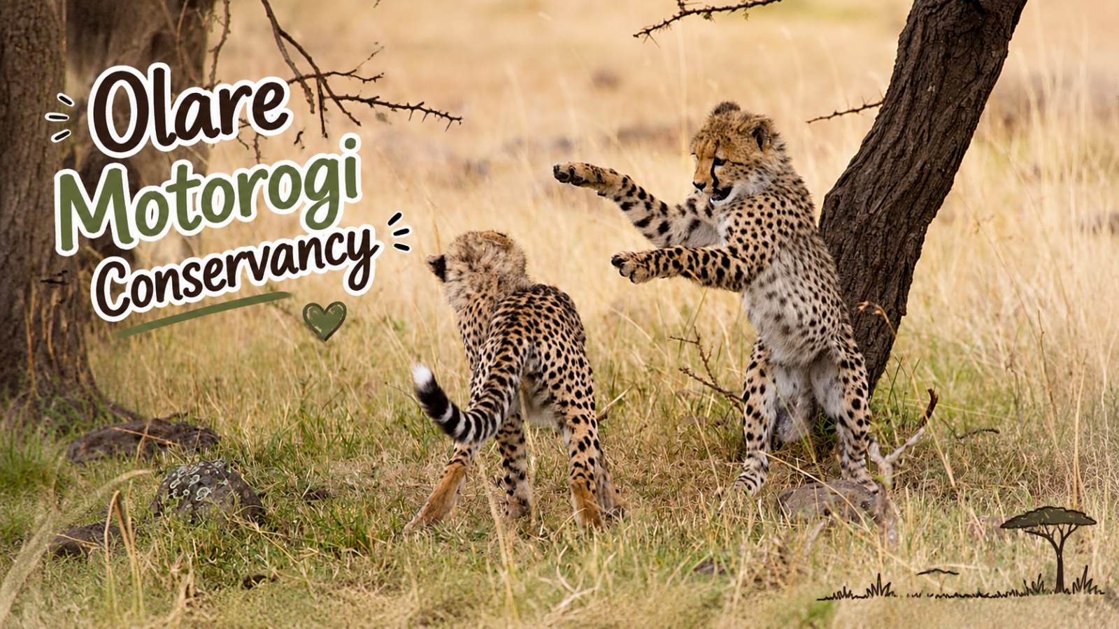 Olare Motorogi Conservancy