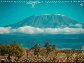 The Best Time to Visit Amboseli for Kilimanjaro Views