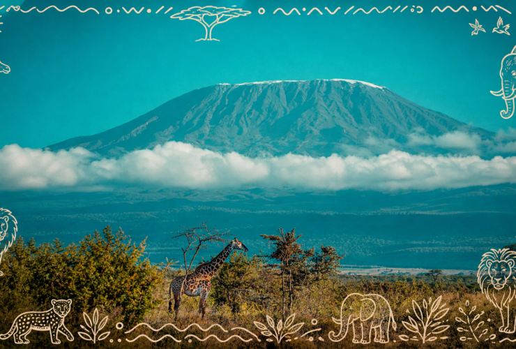 The Best Time to Visit Amboseli for Kilimanjaro Views