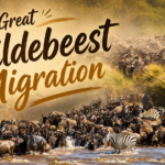 The Great Wildebeest Migration