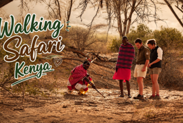 Walking Safari Kenya