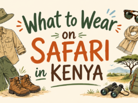 What to Wear on Safari in Kenya