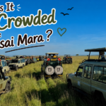 When is It Too Crowded in the Maasai Mara