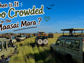 When is It Too Crowded in the Maasai Mara