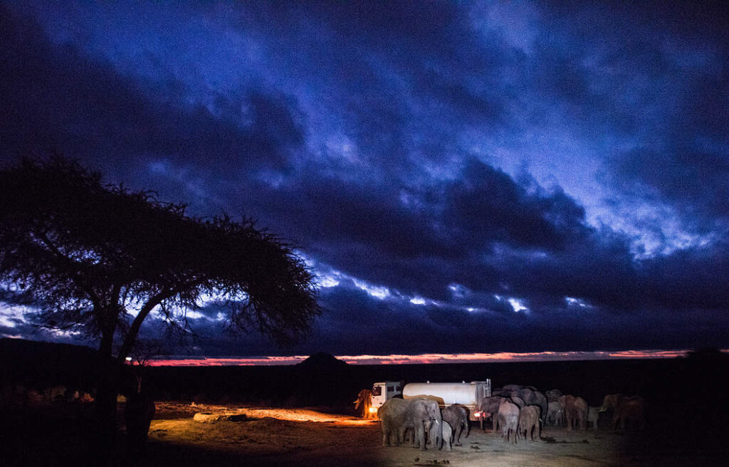 Sheldrick Elephant Orphanage