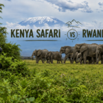 Kenya Safari vs Rwanda Safari